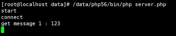 PHP使用swoole编写简单的echo服务器代码示例